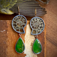 Ammonite and Ammolite Earrings